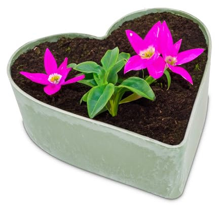 matches21 HOME & HOBBY Herz Pot de fleurs, style vintage, vert olive, 22 x 20 x 7,5 cm, résistant aux intempéries