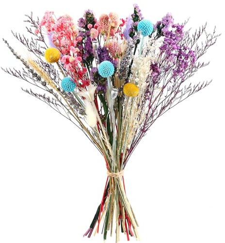 Songjum 13 Kinds of Natural Colorful Dried Flower Bouquet DIY Floral Arrangements Bulk Natural Multi-color Dried Flowers for Boho Crafts Home Decor Home Wedding Table Centerpiece Decorations