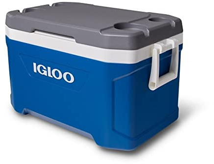 Igloo #50059