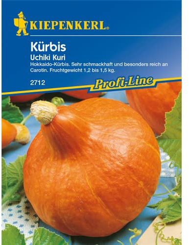 Kürbissamen - Kürbis Uchiki Kuri, Hokkaidokürbis von Kiepenkerl
