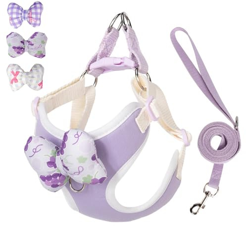Ensemble harnais et laisse pour chiot avec nœuds détachables, harnais réglable et léger idéal pour la marche, la course à pied, le dressage pour chiot de petite et moyenne taille (Pueple avec 3 nœuds