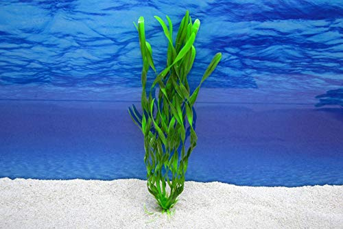 Amtra Valisneria, pianta artificiale, decorazione da acquario, misura XL, 35 cm