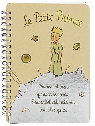 Le Petit Prince Cahier, Papier, Multicolore, Taille Unique