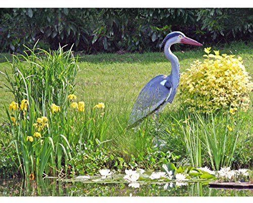 Héron teichfigur 72 cm sculpture vogelfigur figurine de jardin