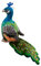 JAWSEU Niedliche Pfau Kuscheltier, Simulation Pfau Plüschtier Simulation Wildtier Weiches Pfau Stofftiere Spielzeug Pfau Plüschpuppen Tier Plüschkissen Pfau Kuscheltier Spielzeug Geschenk für Kinder