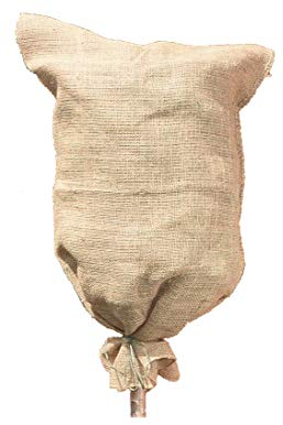 Jute-Sack Jutebeutel 80x60cm - Naturfaser Gewebesack Winterschutz für Pflanzen