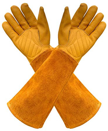 Gardens Leather Gardening Gloves for Women and Men | Thorn and Cut Proof Garden Work Gloves with Long Heavy Duty Gauntlet | Suitable For Thorny Bushes Cacti Rose (X-Small, Yellow)