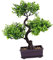 GOOHOCHY Artificial Bonsai Tree Lifelike Faux Potted Plant Desktop Indoor Plant Ornament Chinese Japanese Decoration for Home Office Greenery Arrangement