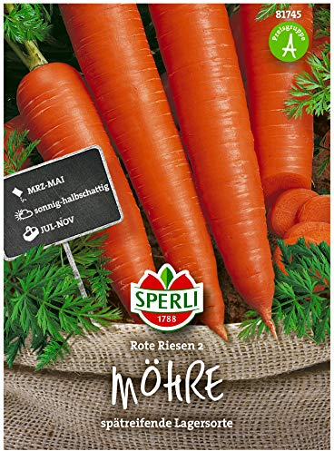 Sperli Graines de carottes rouges géantes résistantes 2 grandes betteraves en forme de cône ; graines de carottes pour environ 1000 carottes idéales pour les aliments crus et les soupes, graines de