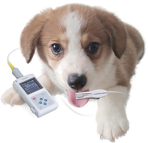 PULSOSSIMETRO VETERINARIO OXY-50 con software