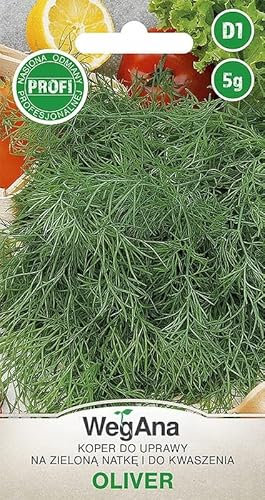 WegAna Semillas de Eneldo Eneldo Oliver 5g Jardín Eneldo Robusto Semillas de Hortalizas Semillas de Cultivo