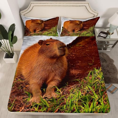 Dunkelbraun Spannbettlaken 140x200 cm Tier Boxspringbett Spannbetttuch Bettwaren Matratzenbezug 1 Spannleintuch Tiefe Tasche 30 cm mit 2 KissenbezüGen 80x80cm