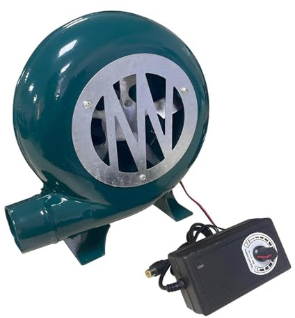 JOUFNING Elektrisk luftfläkt i centrifugal – 220 V pumpfläkt med guvernor, elektrisk smed med variabel hastighet, kraftig spis matlagning flamspänning (100 W)