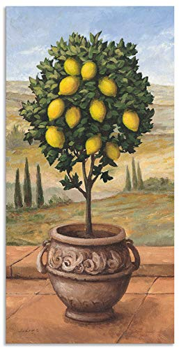 ARTland Wanddeko Wandbild Alu Verbundplatte für Innen & Outdoor Bild 30x60 cm Toskana Zitrone Baum Italien Landschaft Mediterran Botanik Terracotta T4MN