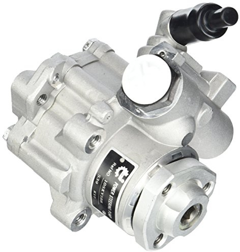 Esen SKF 10SKV105 Power Steering Pump