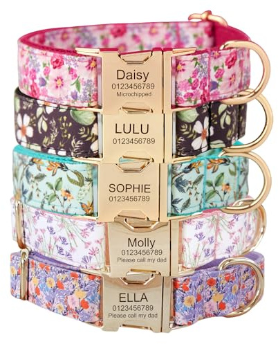 Collier pour chien gravé personnalisé avec nom, personnalisé pour chiens de petite, moyenne et grande taille (Floral)