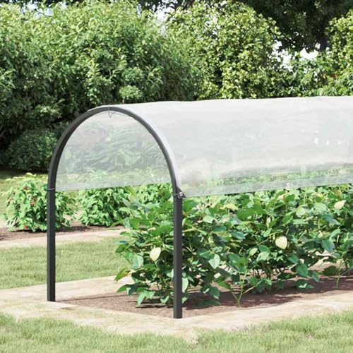 Växtskydd med öljetter 2 x 6 m av polyeten, väderbeständig och transparent, med nylonkanter och aluminiumöljetter, perfekt för trädgårdsbädd, uppbädd, barkmulch och frostskydd