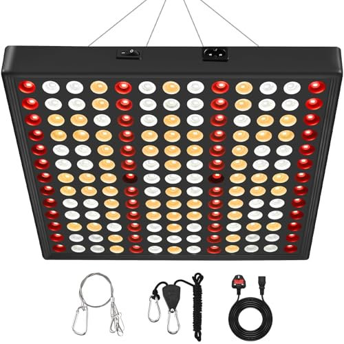 DragonLight 2024 Newest CW2000 LED Grow Lights Full Spectrum Grow Lamp with 3-Metre Cable for Greenhouse and Indoor Plant Veg and Flower Growing Coverage 2 x 2Ft