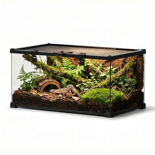 NEPTONION Mini reptilglas terrarium vivarium full vy tank små amfibier glaslivsmiljöbur med matningsplats och lås-spänne (50 cm D x 30 cm B x 25 cm H)