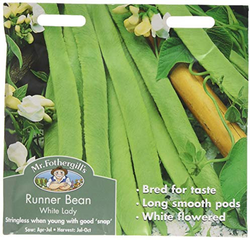 Mr Fothergill's Runner Bean White Lady