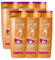 6er Pack - L'Oréal Elvive Extraordinary Oil Lockenpflege Shampoo - definierte und elastische Locken - 250 ml