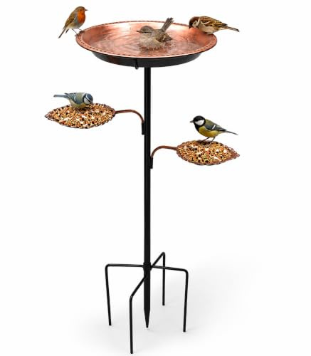 Metal Bird Bath for Garden, 30cm Bird Baths for Gardens with 2 Leaf Bird Feeder Bowls, Outdoor Bird Bath and Feeder Station, Freestanding Bird Table with 5-Prong Ground Stake for Wild Birds