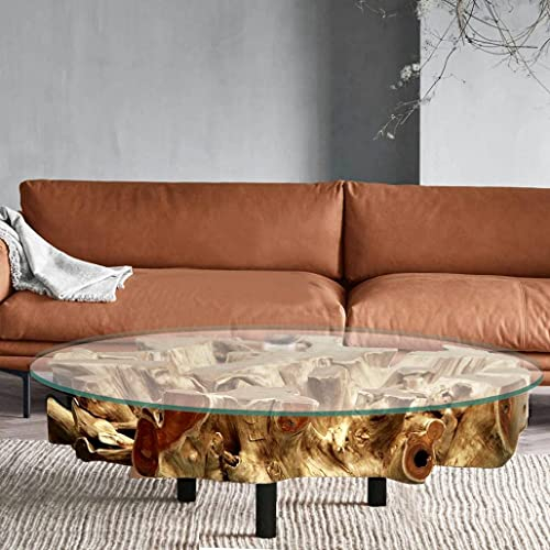 Möbel Bressmer Wurzelholz Couchtisch NAGA Rustikal 100cm rund - aus nachhaltigem Teakholz inkl. Glasplatte - 100% Handarbeit - Treibholz Wohnzimmer Tisch