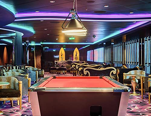 hansepuzzle 11631 - Billard-Salon Puzzle 1000 Teile - Sport-Puzzle mit hochwertiger Aufbewahrung: Kartonbox und wiederverschließbarem Beutel - Format 60 × 46 cm