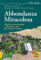 Abbondanza Miracolosa