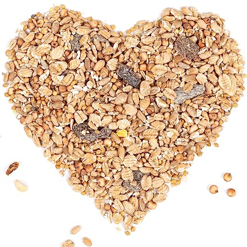 Lyra Pet® | 20 kg Fettfutter | HK Polen | Ganzjähriges Futter für Wildvögel | Energieschub im Winter & Sommer | Streufutter für Amseln, Rotkehlchen, Meisen & andere Vögel | Ideal für Vogelhäuser