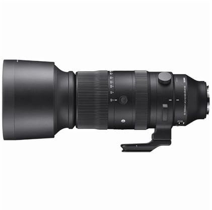 Sigma 60-600mm F4.5-6.3 DG DN OS for Sony E Mount