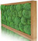 naturewalls Parent- Moosbild KM (Eiche, 60 x 30)