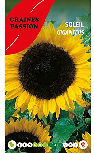 Graines Passion sachet de graines Soleil Giganteus