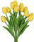 huaao 12pcs Artificial Tulips Flowers Latex Fake Yellow Flowers Tulips Real Touch Bouquet Arrangements Floral for Wedding Party Home Office Room Hotel DIY Decoration