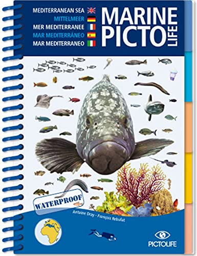 MEDITERRANEAN MARINE PICTOLIFE: Méditerranée
