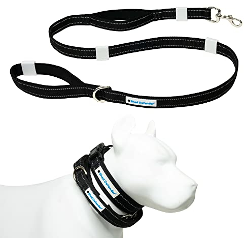 Shed Defender Mag-Snap Hundeleine – tragbare magnetische Leine – entworfen in den USA – lässt Sich an jedem Halsband befestigen – Zwei gepolsterte Griffe – reflektierende Nähte – 1,5 m (schwarz)