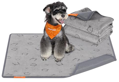 Feandrea Alfombrilla Absorbente Lavable para Perros, 2 Paquetes, Reutilizable, 91 x 86 cm, M, Alfombrilla para Mascotas, Antifugas, Antideslizante, Perros, Gatos, Conejos, Gris Paloma PTD002G01