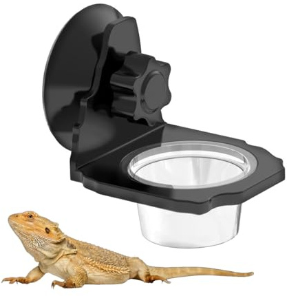 DONGKER Reptil de alimentación de reptiles, comedero colgante para gecko con cuenco de 1/2 pieza para lagarto, tortuga, escorpión, ciempiés, crestados