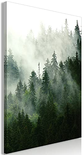 murando - Akustikbild Wald Nebel 60x90 cm 1 tlg Bilder Akustikschaum Hochleistungsschallabsorber Schallschutz Leinwand Wandbild Raumakustik Schalldämmung Bäume grün c-B-0394-b-a