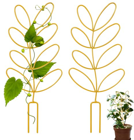 Potted Plant Trellis, 2 Pack 12'' Small Metal Plant Climber Supports Mini Garden Trellis Indoor Climbing Plants Stakes Houseplant Accessories for Hoya Vines, Pothos, Flower, Monstera - Leaf Shape