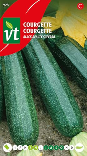 Semillas de calabacín Black Beauty - Muy fácil de cultivar