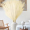 Mbsomnus 6 Piezas Pampas Secas Decoracion Grandes 110 cm Plumas Decoracion Artificial Ramas Secas Decorativas para Estar Jarrón Piso Wedding Decoración (Marfil)