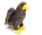Cornelißen Kuscheltier - Seeadler - 19 cm