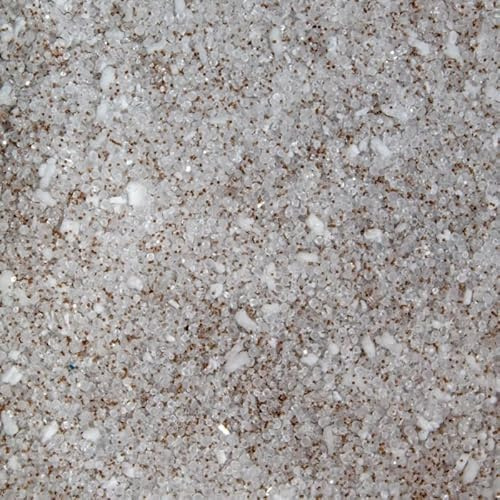 Baby Brine Shrimp Eggs Hatching Artemia Salt Mix, Salt Lake USA GRADE A 90% RATE (1kg)