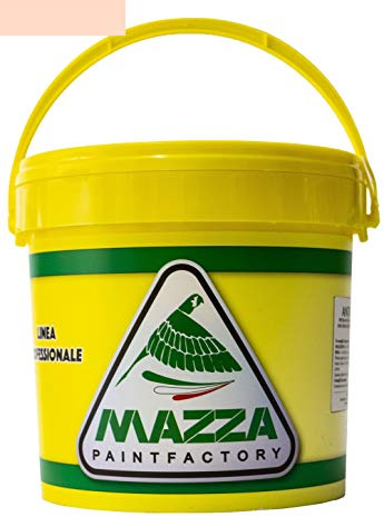 MAZZA Pittura Al Quarzo Per Muri Interni Ed Esterni Lt 5 Ad Alto Potere Coprente Colorificio (Camelia Mz1160)