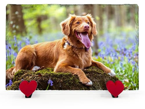 AIGAT Plaque Commémorative Rectangulaire Personnalisée 20 X 30 cm avec Support en Forme De Coeur pour Chat, Chien, Ardoise, Pierre, Patte, Pierre Tombale - Photo Complète À L'horizontale