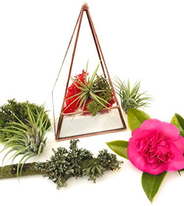 Pyramid Terrarium/Geometric Glass Plant Pot/Modern Planter/Handmade in England (Medium, Bright Copper)