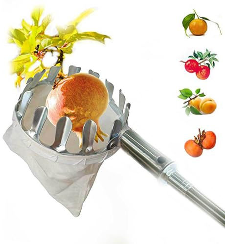 Recogedor Frutas Telescópico 0.6-1.5M, Recolector De Frutas Traer Canasta Ø16cm Con Varillas De Extensión, Recogedor De Fruta De Acero Inoxidable Con Bolsillo De Algodón Para Jardín Agrícola