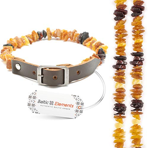 Bernsteinkette Hund & Katze – Verstellbares Bernsteinhalsband – Bernstein Halsband für große & kleine Hunde und Katzen (35-40 cm)