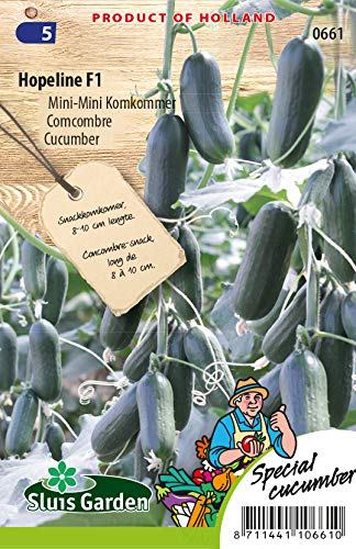 Pepino Snack Hopeline F1 Semillas